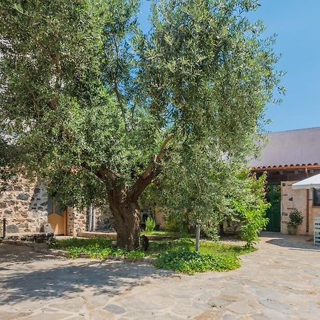 Апартаменты Sa Dommo De Sa Pietate Орозеи Экстерьер фото